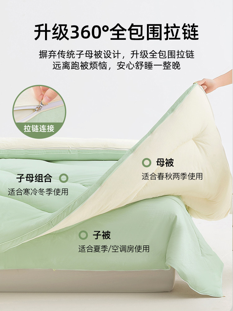 Two-In-One Zippered Quilt, Quilt Core, Double Thickened Winter Quilt, Spring and Autumn Quilt, Winter Cotton Quilt, Suitable for All Seasons