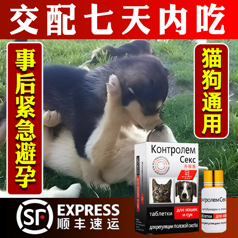 Long-acting emergency contraceptive for dogs after the event