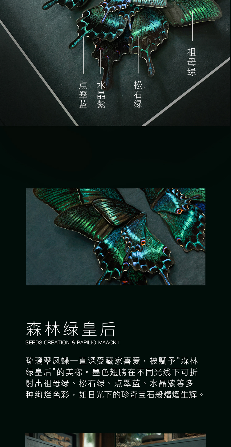 商品详情图