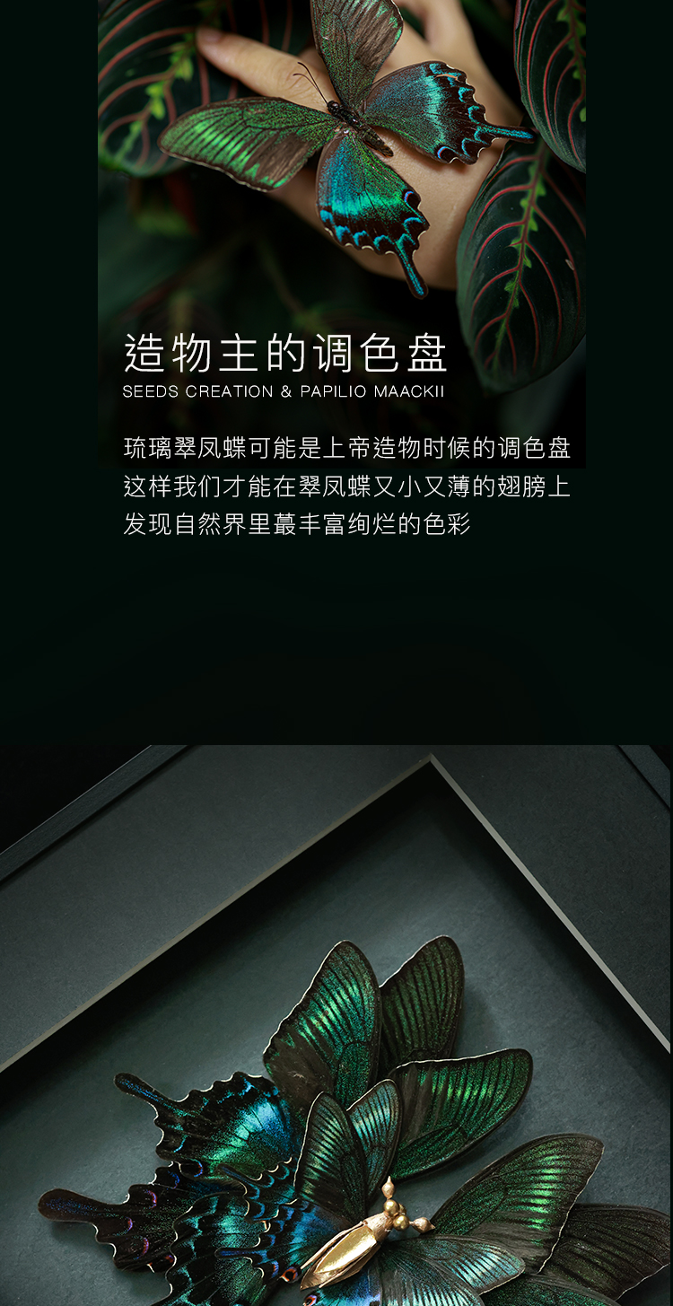 商品详情图