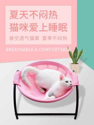 Pet Cat Gont Deep Sleep Sleep Summer Summer Cat Hous