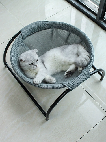 Pet Cat Gont Deep Sleep Sleep Summer Summer Cat Hous