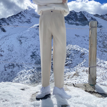 (VERA men) South Korea autumn and winter ins minimalist solid color straight loose trend Joker woolen long trousers men