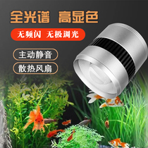 Fish tank algae bursting downlight full spectrum native stream moss bursting LED goldfish brightening green algae bracket aquatic plant lamp Liangsi