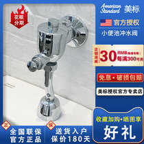 American standard bathroom Flushing Valve 9802 toilet flushing toilet hand press valve press type urinal flushing valve 9910