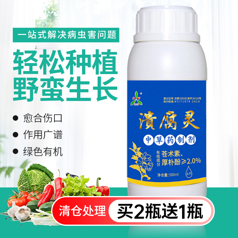 Rourot Lingo Tree Rot of Rotten Fruit Ulcer Peach Tree Decaying Fluid Gum Perforated Branches Withered to Nutrient Healing Agents