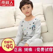 Bộ đồ lót bé trai Nam Cực bộ đồ cotton mỏng mùa thu quần áo thanh niên lớn quần áo trẻ em cotton đồ ngủ chạm đáy