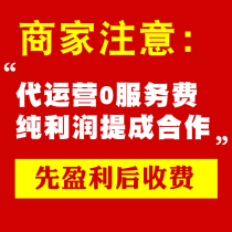 Taobao agency operation online store hosting through train whole store hosting Tmall agency operation online network promotion service meters