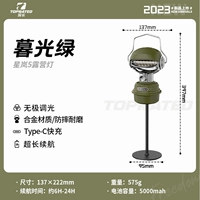 Singlan 5 Series Series Twilight Green Stent
