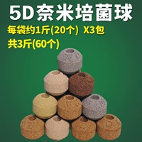 5D Nanopotacus (около 60 фунтов)