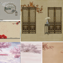 3D ancient costume photo background cloth photography background cloth family portrait background Net Red Anchor Live broadcast 201