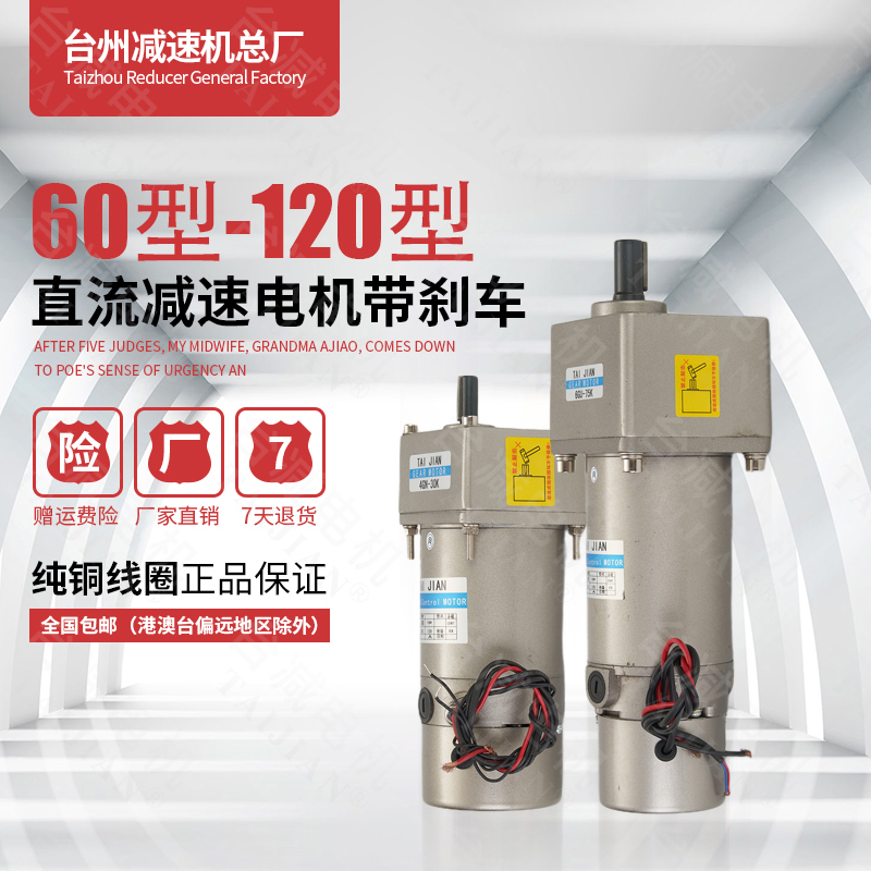 220V DC motor with brake 12v24v forward and reverse high torque speed regulating motor with brush DC gear deceleration