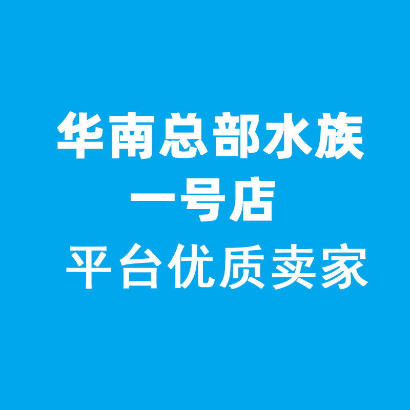 华南总部水族一号店