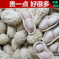 Xinlongyan boiled peanut natural white sun-dried cooked brine boiled salty dry 3 kg bulk farm nut snack specialty