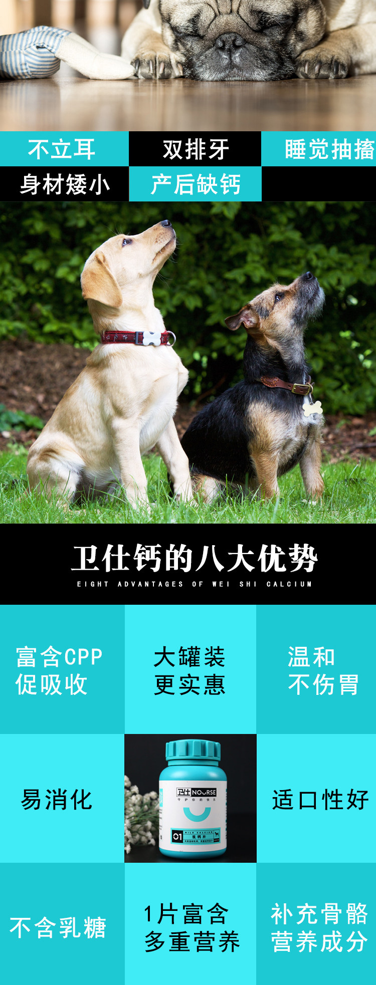 Nourse 卫仕 犬用乳钙片400片 双重优惠折后￥40包邮 螯合微量元素400片可选 京东￥73.6