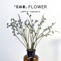 ins Japanese and Korean style photography dried flowers Eucalyptus fruit Eucalyptus fruit dried flowers dried branches pose for photo props background