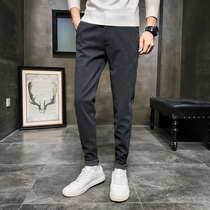 Hairy pants mens autumn and winter Joker thick stretch Korean Leisure Trend business hanging dress pants men
