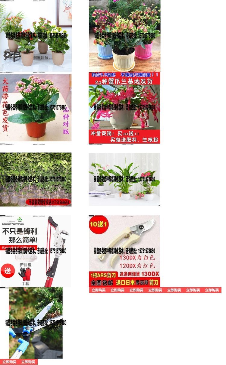 Bình thủy tinh, chậu cây đặc biệt để thủy canh, chậu thủy tinh tròn, bể cá vàng tròn nhỏ, giỏ cây cố định - Vase / Bồn hoa & Kệ chậu ghép thông minh