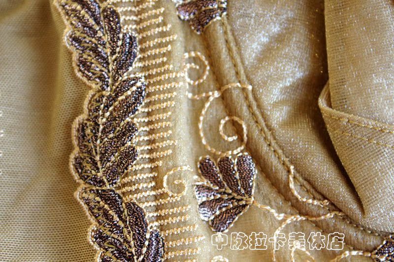 Midrib Laca Raka xác thực cơ thể định hình đồ lót điều chỉnh thu thập sau sinh phục hồi ba mảnh mùa hè - Corset hai mảnh quần xì