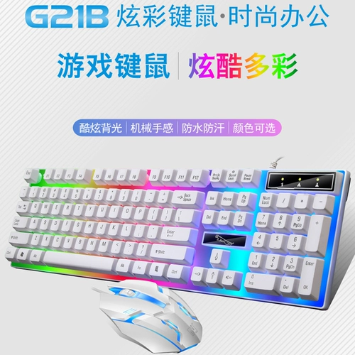 追光豹 Комплект подходящий для игр, ноутбук, G21, бизнес-версия