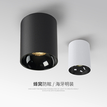 LED Surface mounted downlight Free hole round ceiling type single head aisle Corridor Living room light Bedroom ceiling COB spot light