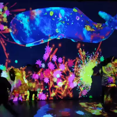 Dream whale Net Red Hall punch card tremble sound with 3D projection equipment activity amusement facilities large commercial customization