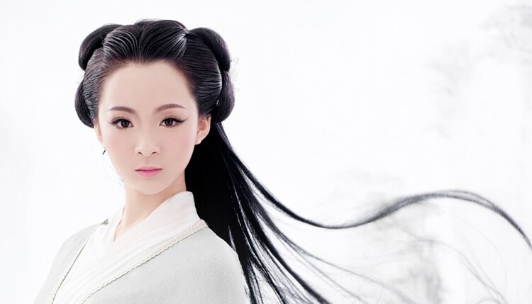 Extension cheveux - Chignon - Ref 229147 Image 15