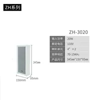 ZH 20W