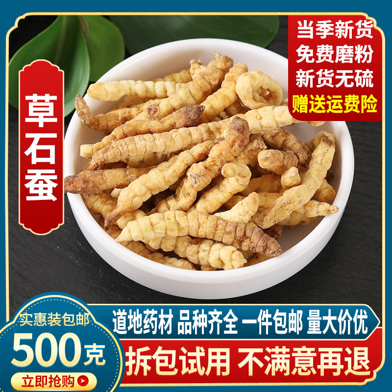 Chinese herbal medicine grass stone silkworm 500g grams of Chinese herbal medicine ground silkworm earth winter caterpillar fungus white caterpillar fungus Zelangen New cargo authentic medicinal herbs