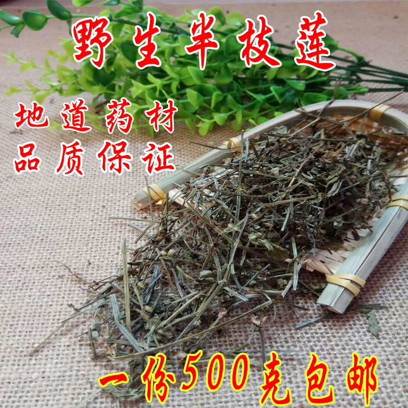 Chinese herbal medicine wild scutellaria barbata and scutellaria barbata with head grass toothbrush grass 500 grams and Hedyotis diffusa
