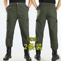 Чистый хлопок [Jun Green+Army Green] Одиночные брюки (тонкие)