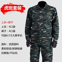 Табби камуфляж [Сопротивление бутик-новинки]