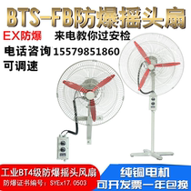 BTSFB-500 Industrial Explosion-proof Rocking Head Fan 600 Electric Fan 750 Cattle Fan Floor Wall Type 220V