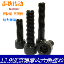 12 9 grade inner hexagonal screw M3M4M5M6 * 4 5 6 8 10 20 30 30 5070 5070 80-100