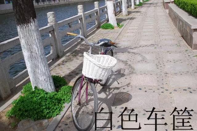 Panier pour vélo - Ref 2258030 Image 8