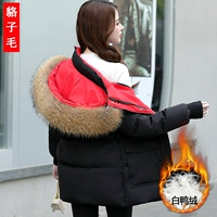 Черный (毛 貉))