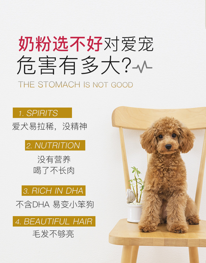 British MAG dog cat sữa dê bột thú cưng mang thai xương chó bổ sung canxi điều hòa dinh dưỡng dạ dày sản phẩm sức khỏe 400g sữa cho chó tốt nhất	