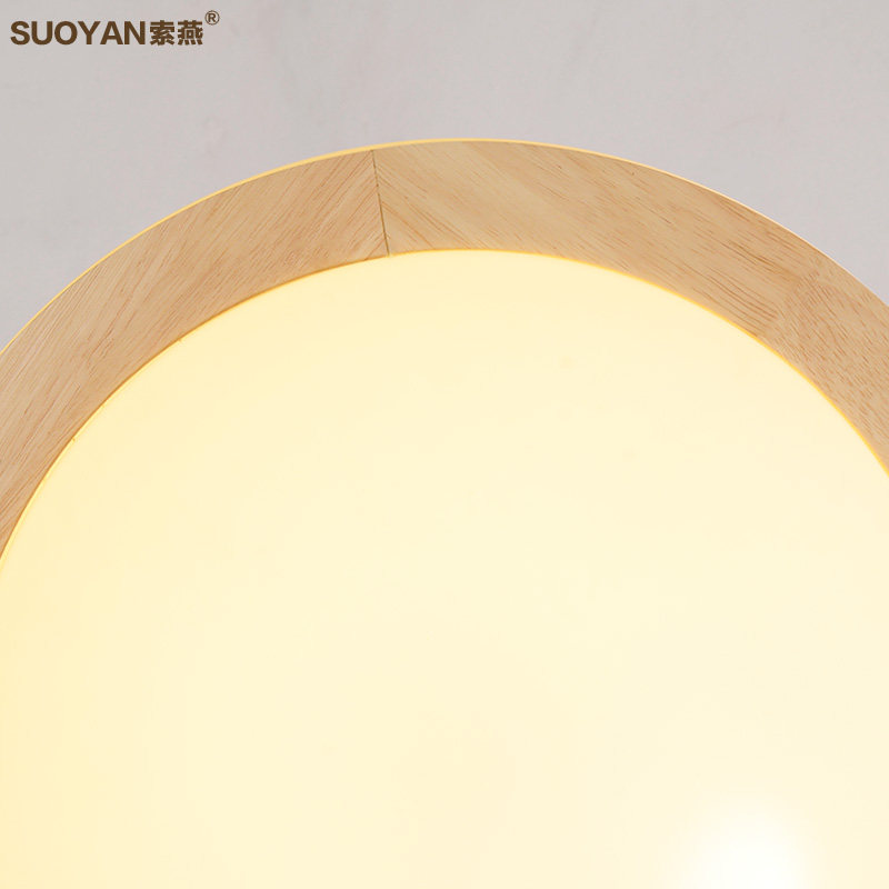 ����led��Լ�ִ�������suoyan-197