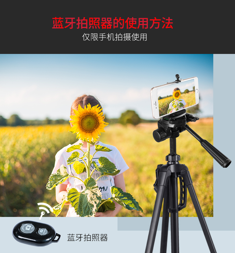 Weifeng 3520 SLR máy ảnh kỹ thuật số chân máy đơn nhiếp ảnh vi chân máy điện thoại di động chụp ảnh tự sướng đứng sống - Phụ kiện máy ảnh DSLR / đơn chân đế máy ảnh