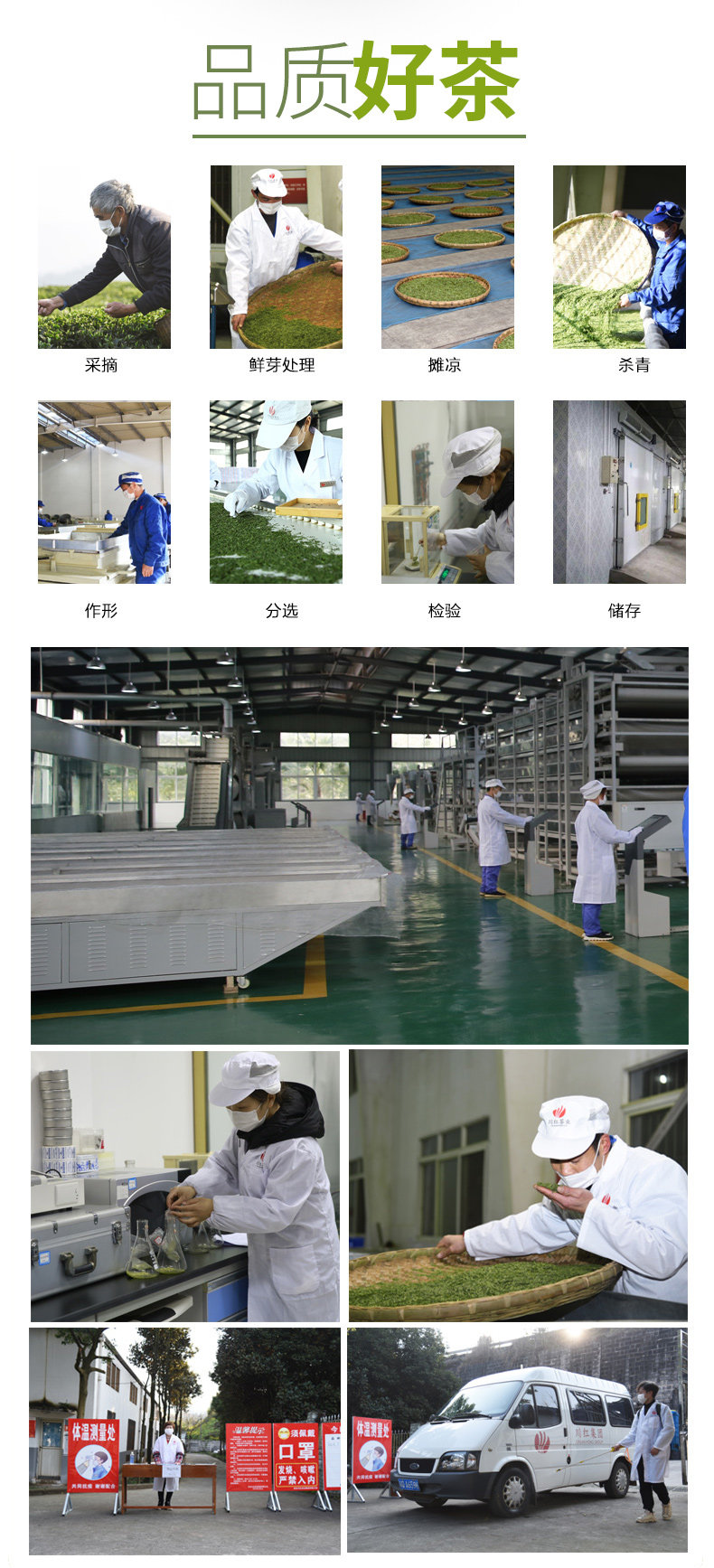 四川林湖 明前特级 雀舌春茶 100g 全芽头 图13