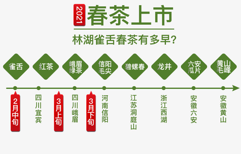 四川林湖 明前特级 雀舌春茶 100g 全芽头 图4