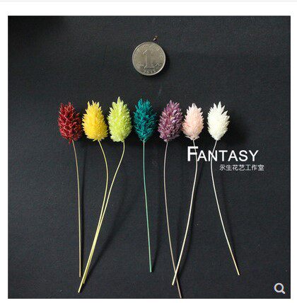 Small Pineapple Rosewood Flowers] Yongsheng Flower Diy Material Home Dry Flower Furnishing Car Pendant Key Buckle Gift Box