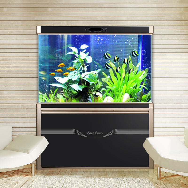 ɭɭ������� ˮ����