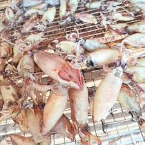 Fujian Zhangzhou Dongshan Liuao specialty 500g dried small sea rabbit dried small tube dried small squid fresh dry goods light dry