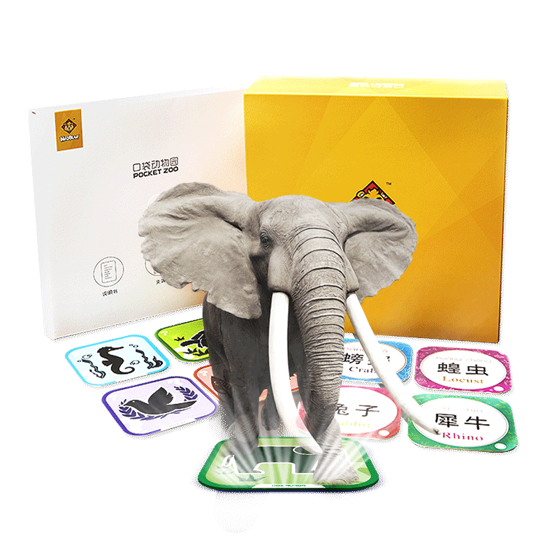 【小熊尼奥】3D立体儿童启蒙早教认知卡