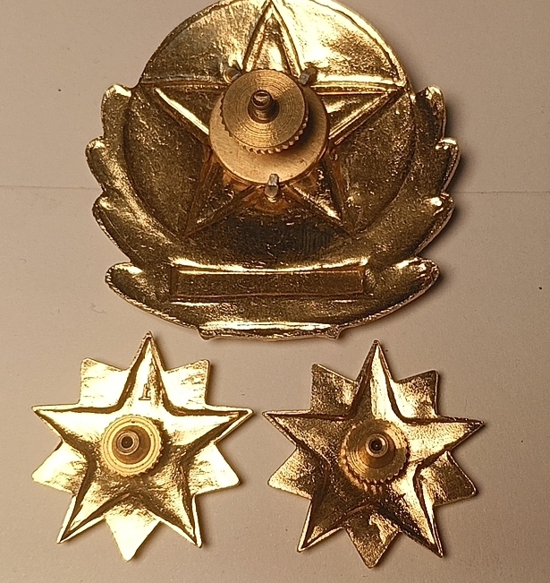 90S Veteran Memories Cap Badge and Lapel Pin