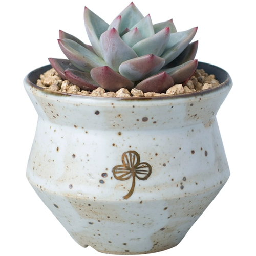 Полная сучная керамика горшок керамика Простая джингхен дышащая крупно