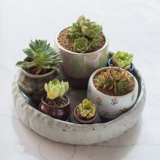 Обычная большая керамическая фруктовая тарелка современная гостиная творческая дом творческий дом