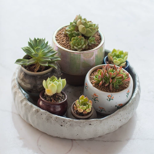 Обычная большая керамическая фруктовая тарелка современная гостиная творческая дом творческий дом