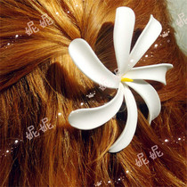 Accessoires de danse hawaïenne Accessoires de danse Hair Clip Beach Swimsuit Head Floral Head Ornament Tiare Hair Accessoires